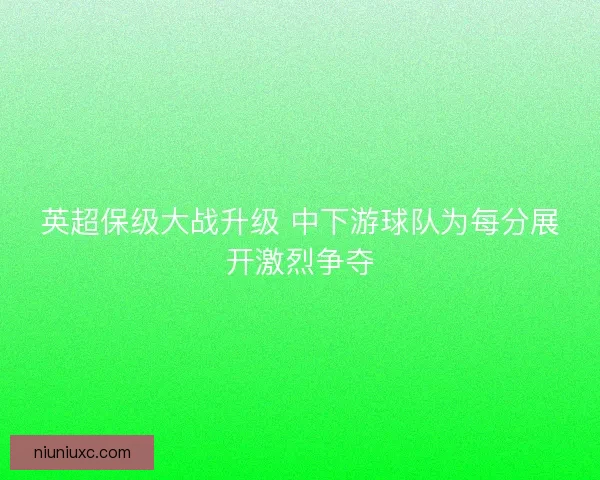 英超保级大战升级 中下游球队为每分展开激烈争夺